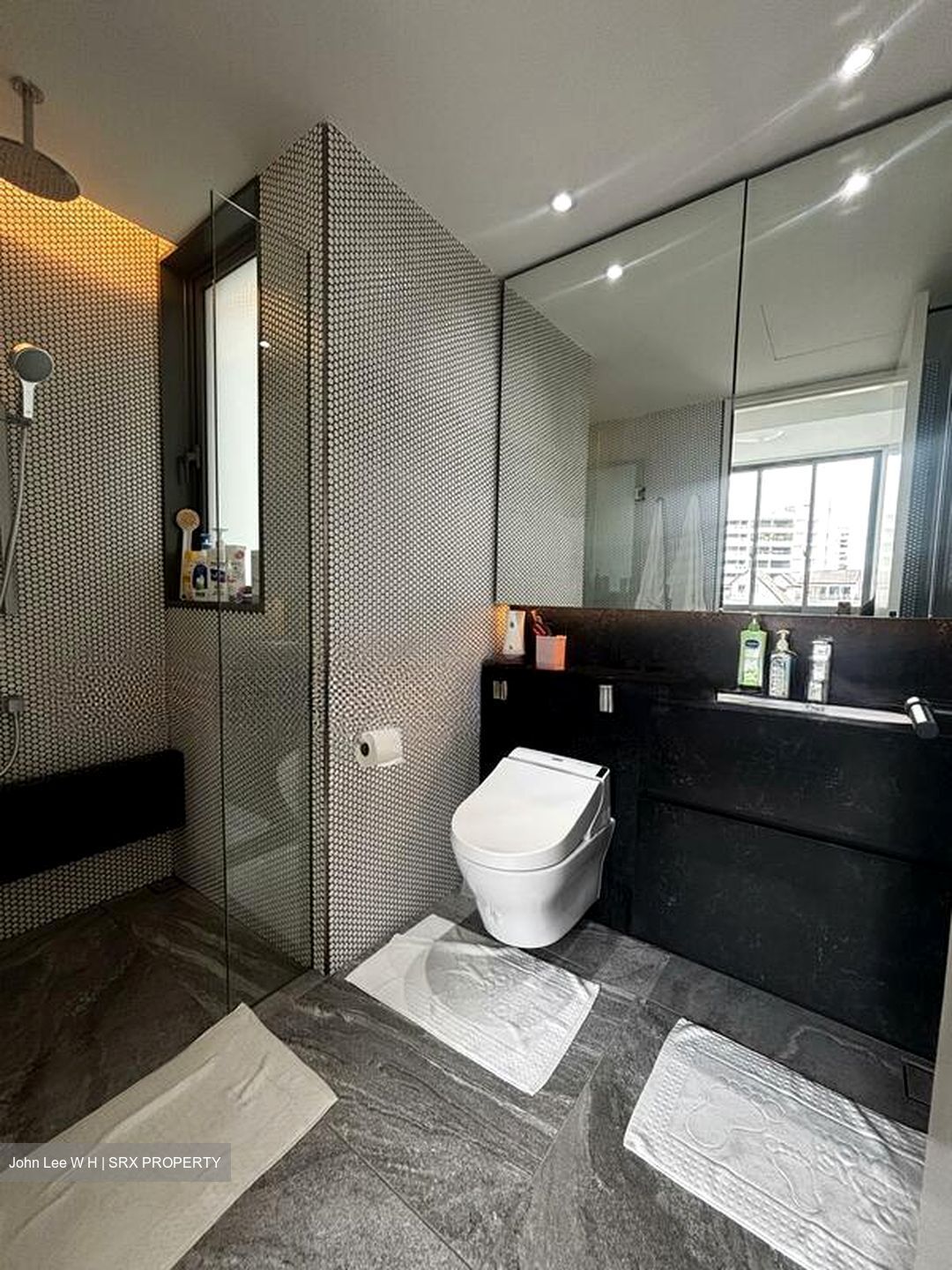 10 Evelyn (D11), Apartment #519020241